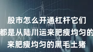 股市怎么开通杠杆它们家烧猪肉都是从陆川运来肥瘦均匀的黑毛土猪